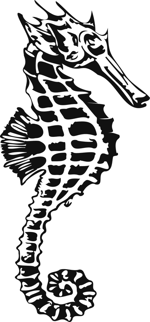 Silhouette of Seahorse with Transparent Background Vector Art