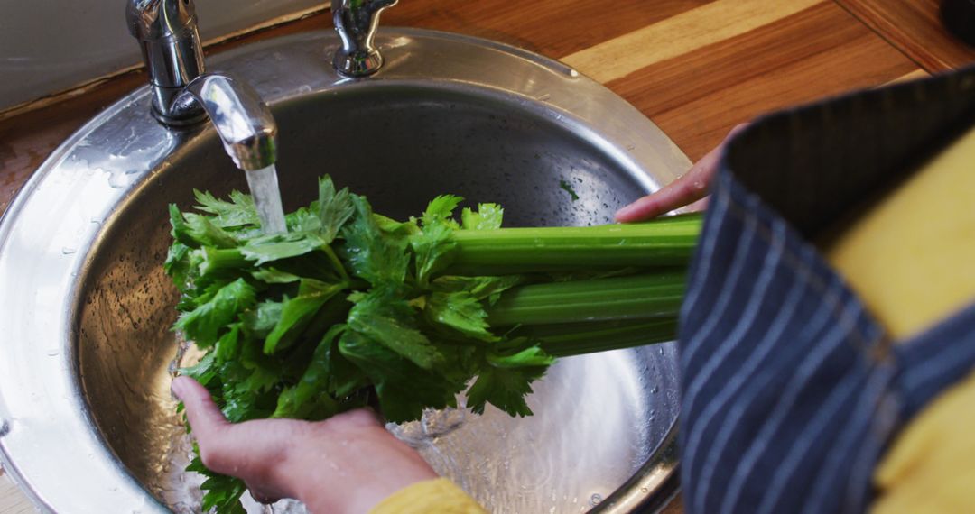 Person washing fresh celery under faucet in kitchen sink - Free Images, Stock Photos and Pictures on Pikwizard.com