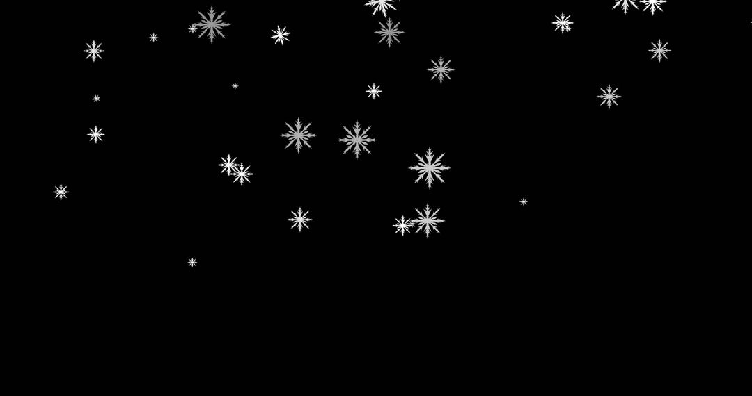 Falling Snowflakes on Black Background: Winter Abstract