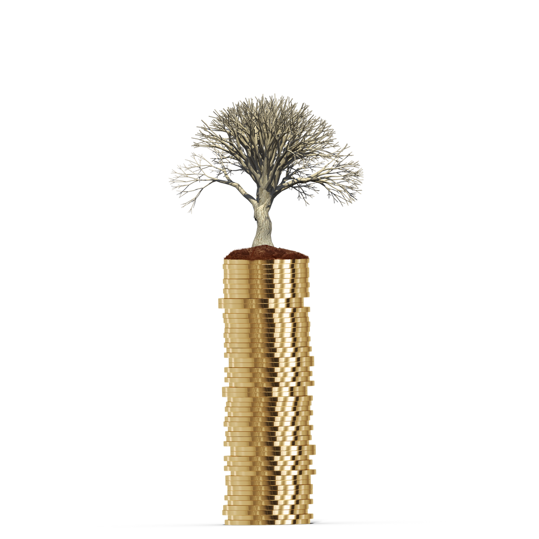 Tree Growing on Golden Coins Symbolizing Financial Growth - Download Free Stock Images Pikwizard.com