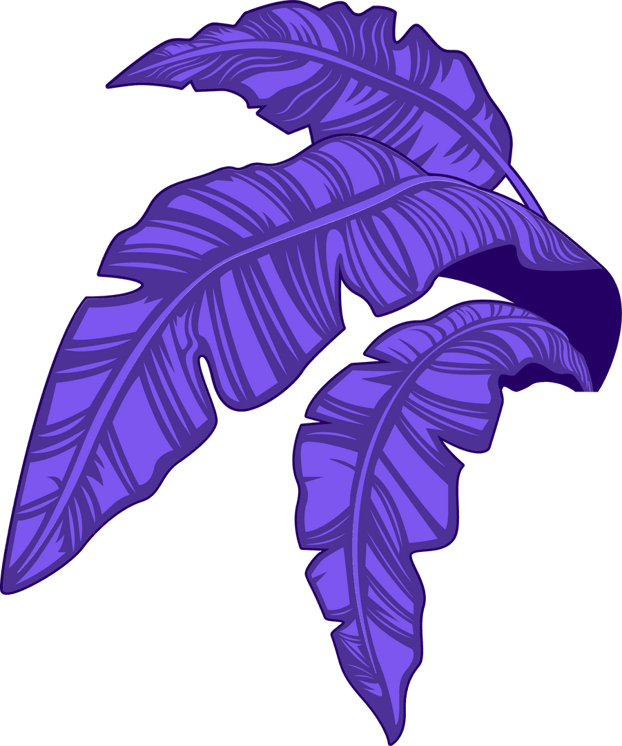 Purple Banana Leaves Illustration on Transparent Background