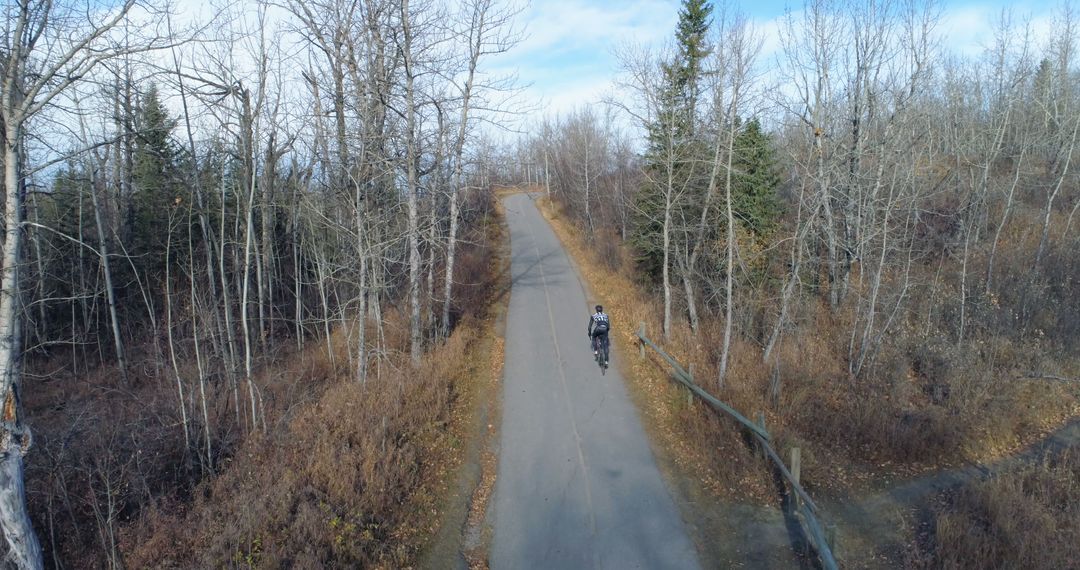 Solitary Cyclist Riding on Autumn Forest Path - Free Images, Stock Photos and Pictures on Pikwizard.com