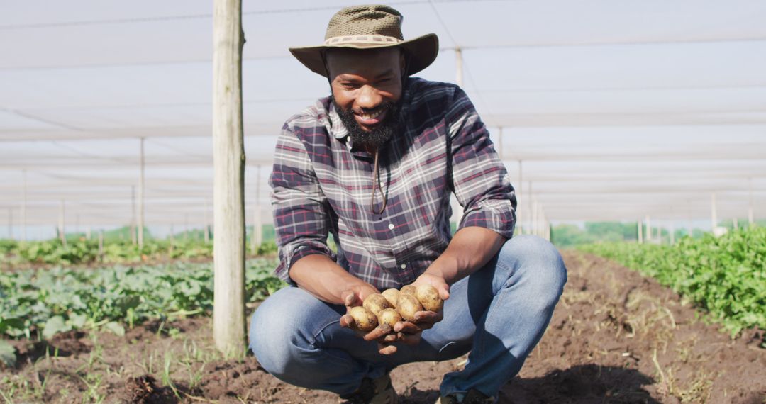 Smiling Farmer Harvesting Potatoes in Vegetable Farm - Free Images, Stock Photos and Pictures on Pikwizard.com