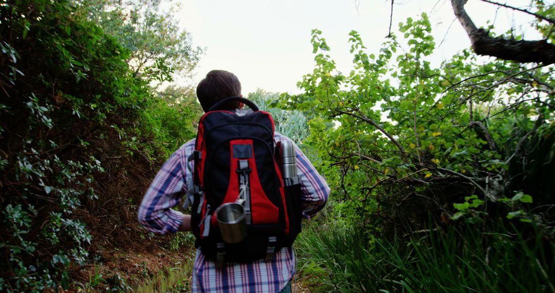 Person Hiking Through Thick Forest with Backpack - Free Images, Stock Photos and Pictures on Pikwizard.com