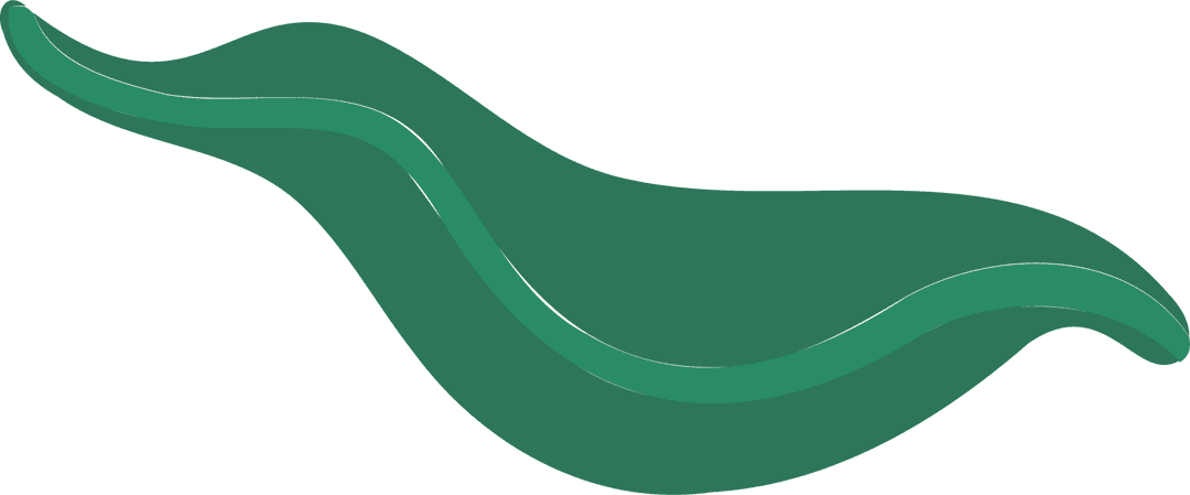 Transparent Organic Leaf Shape in Abstract Green Waves