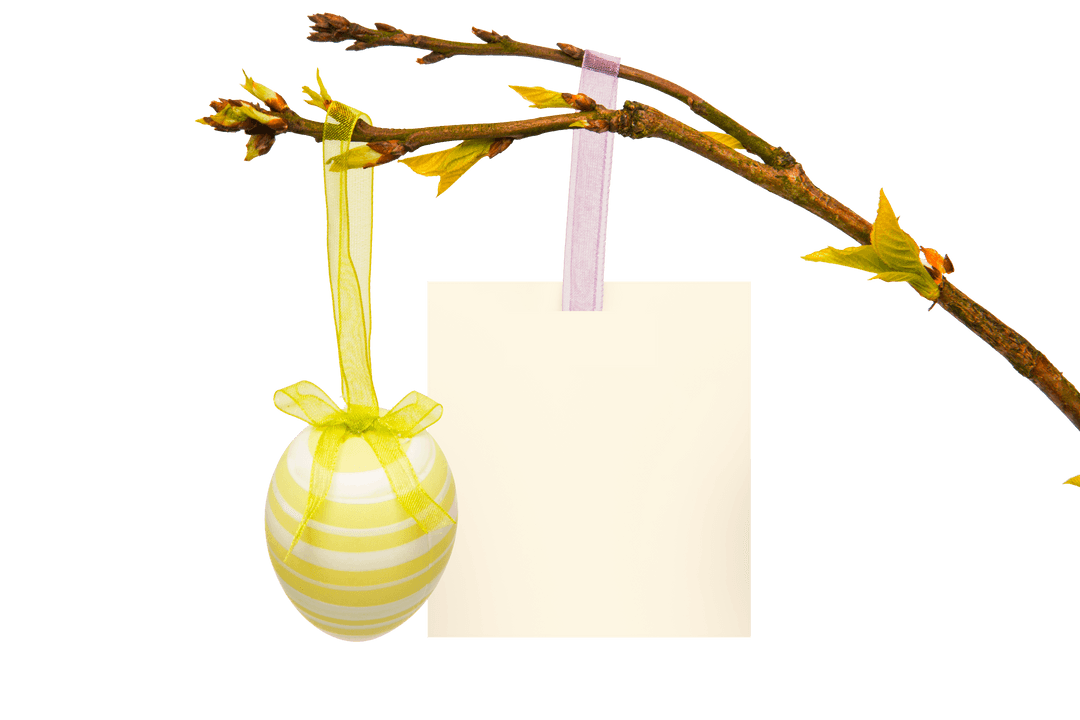 Transparent Spring Branch with Easter Egg and Card
