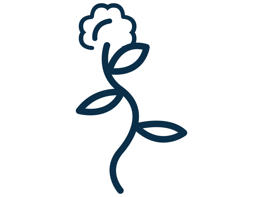 Simple Blue Flower Illustration on Transparent Background