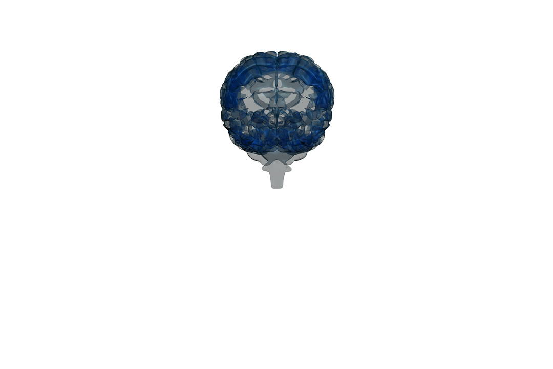 Translucent Glowing Human Brain with Dark Background - Download Free Stock Images Pikwizard.com