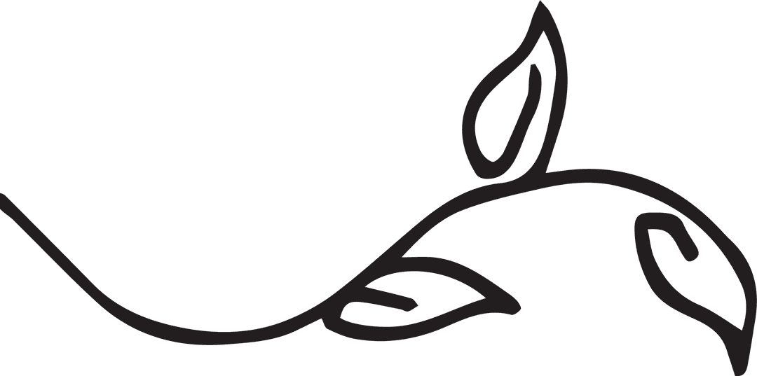 Elegant Black Branch with Leaves on Transparent Layout