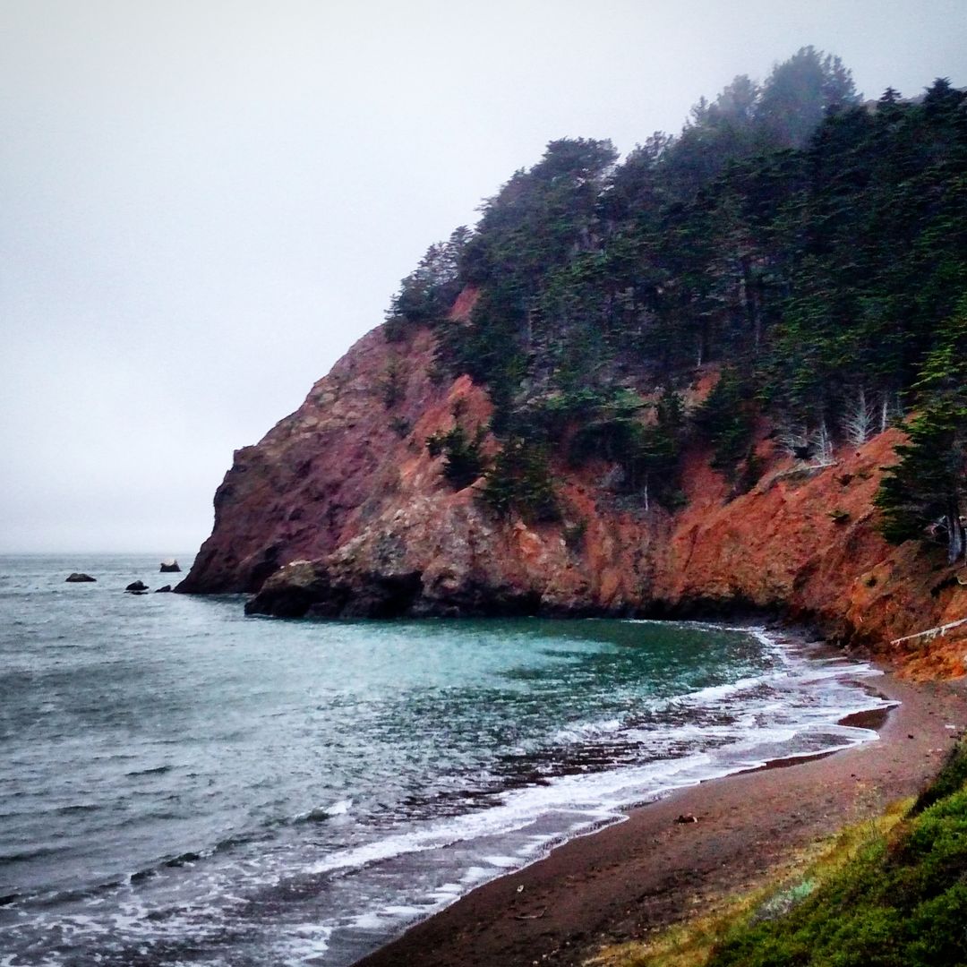 Foggy Coastal Cliff with Rocky Shoreline and Trees - Free Images, Stock Photos and Pictures on Pikwizard.com