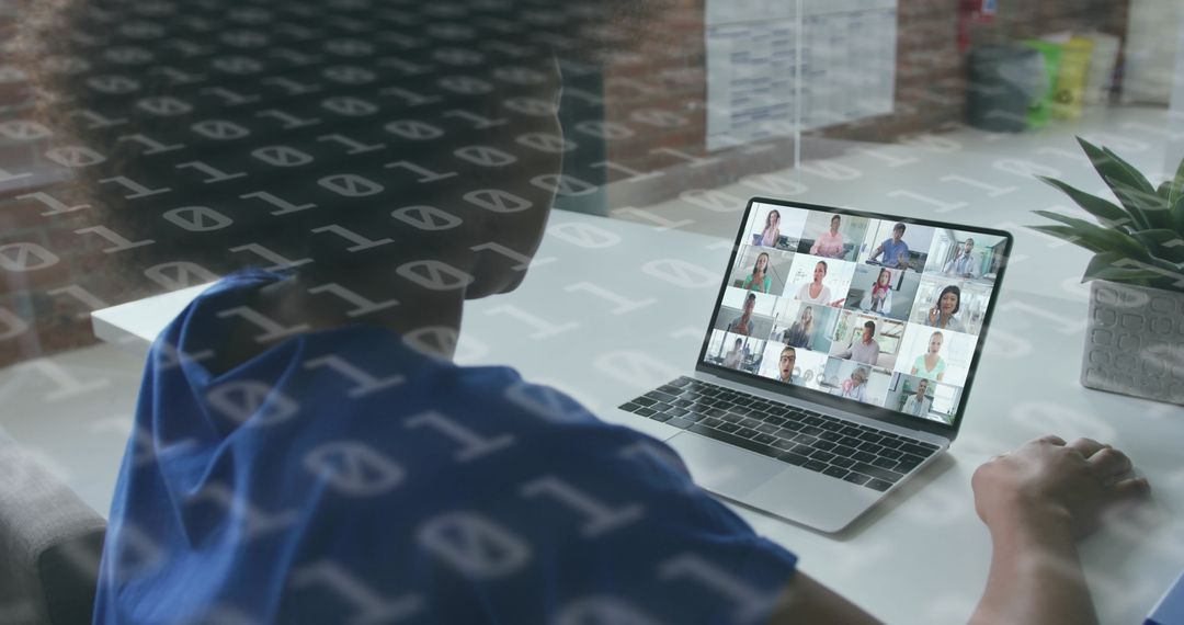 Diverse Team Virtual Meeting with Binary Overlay Concept