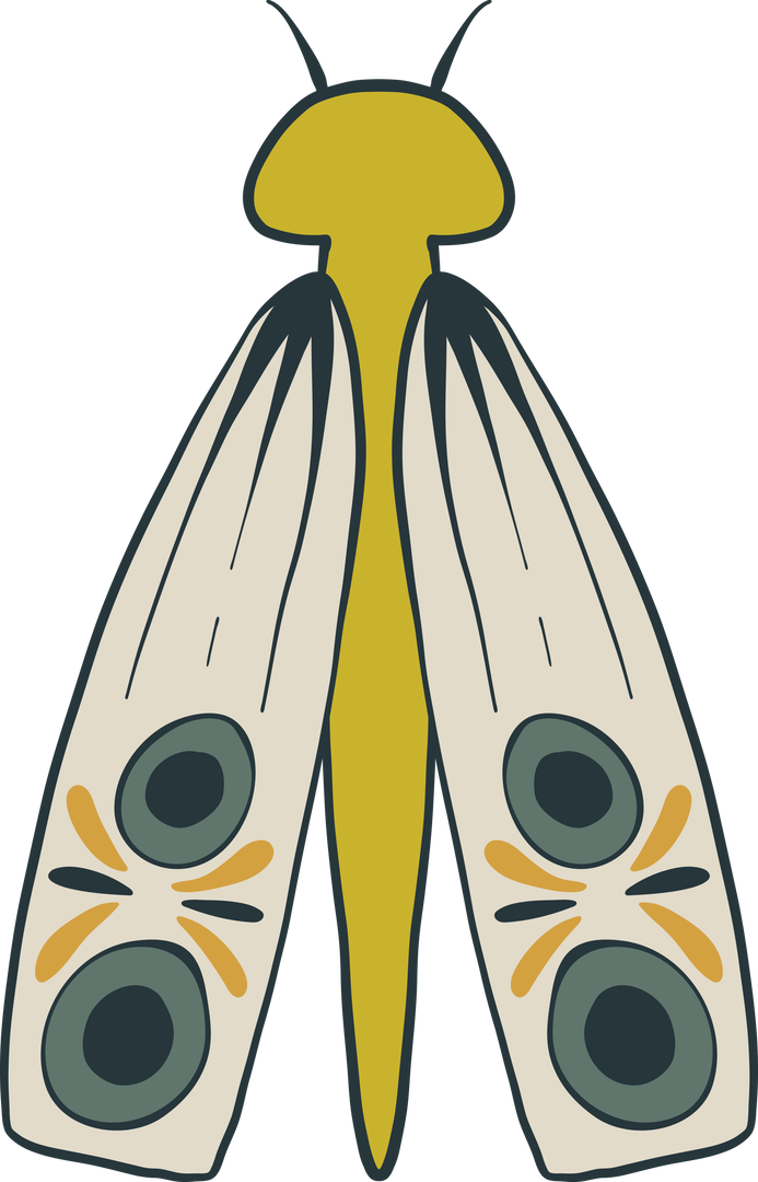 Vector Illustration of Green Moth on Transparent Background - Download Free Stock Images Pikwizard.com