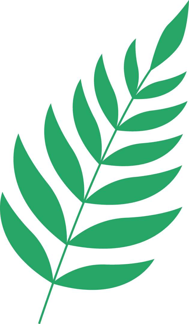 Green Leaf Stem Vector on Transparent Background