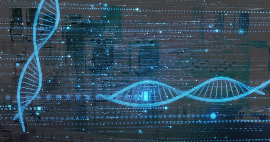 Holographic Dual DNA Helices Floating Above Laboratory Benches with Digital Data Streams
