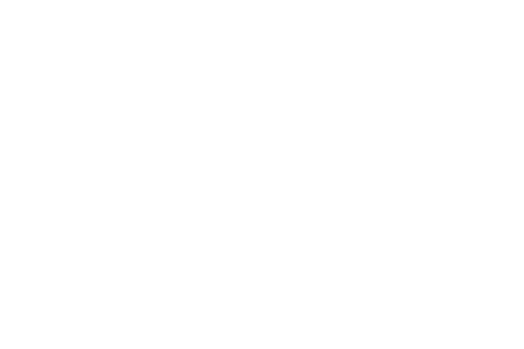 Silhouette of Athlete Lifting Barbell on Transparent Background - Download Free Stock Images Pikwizard.com