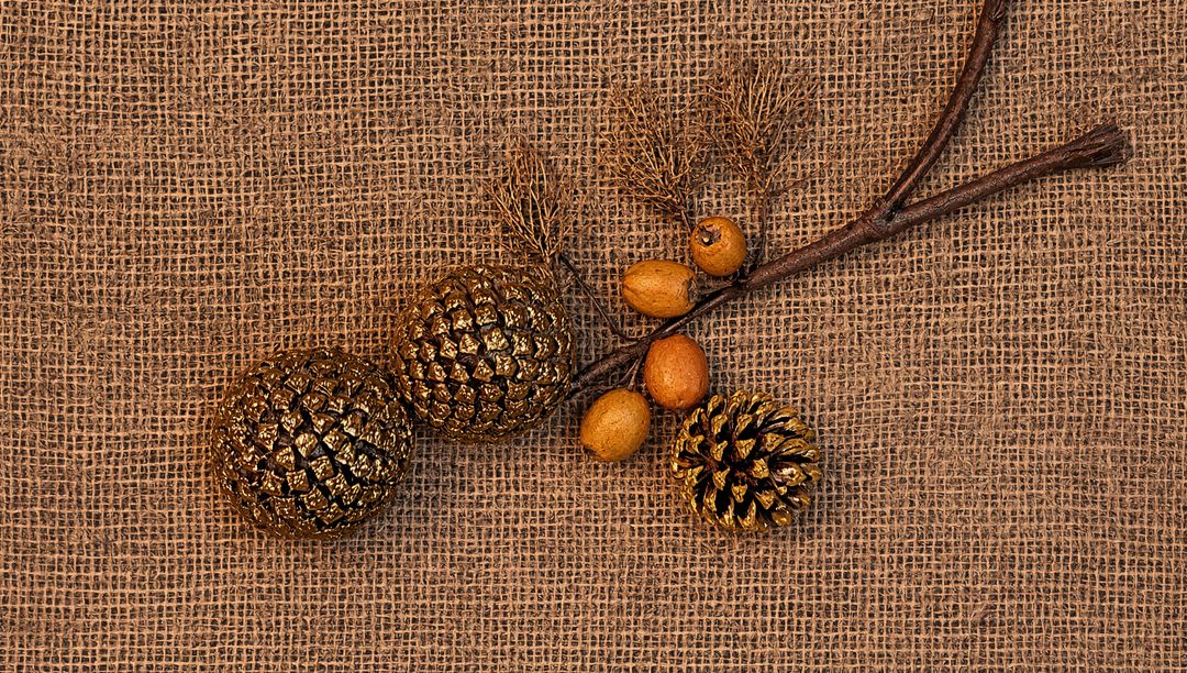 Rustic Gold Pinecone Arrangement on Burlap Texture for Holiday Decor and Craft Projects