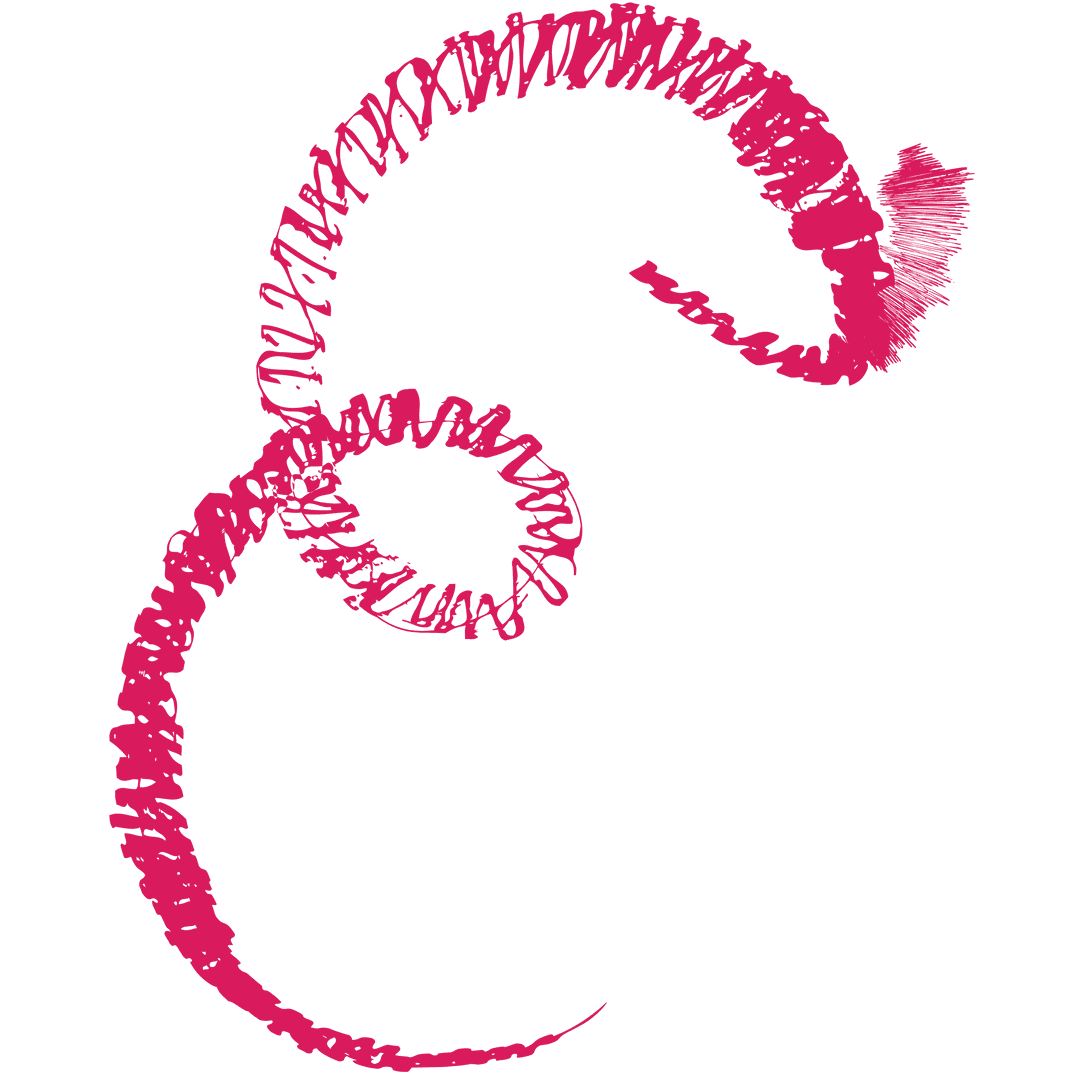 Abstract Pink Flourish on Transparent Background