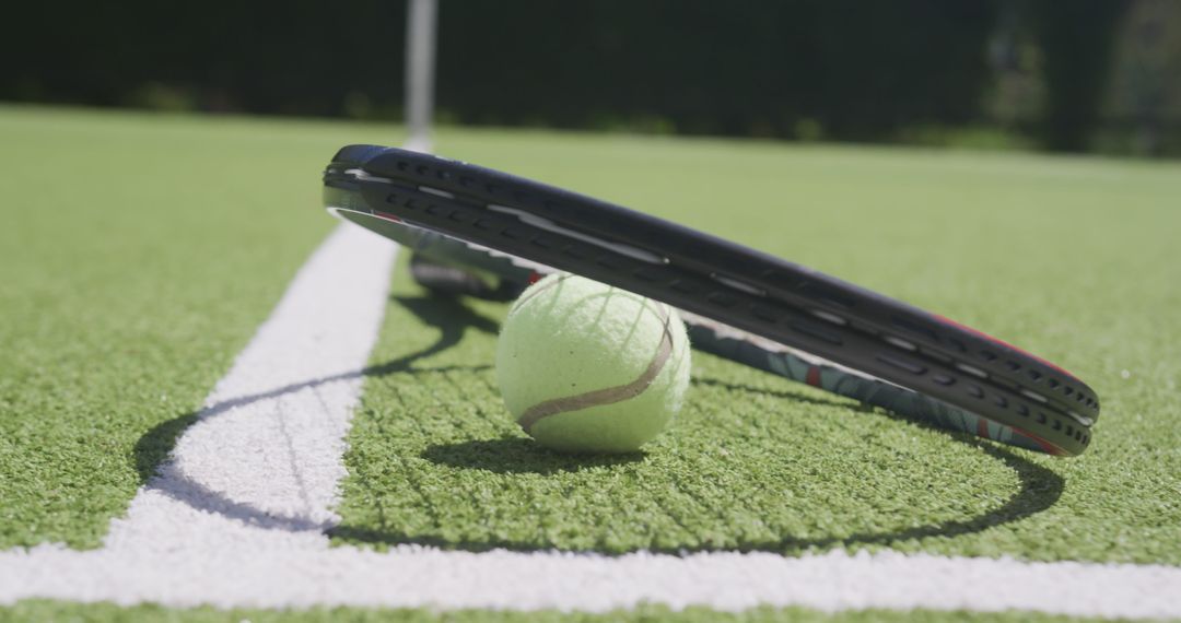 Tennis Racket and Ball on Grass Court Close-Up - Free Images, Stock Photos and Pictures on Pikwizard.com