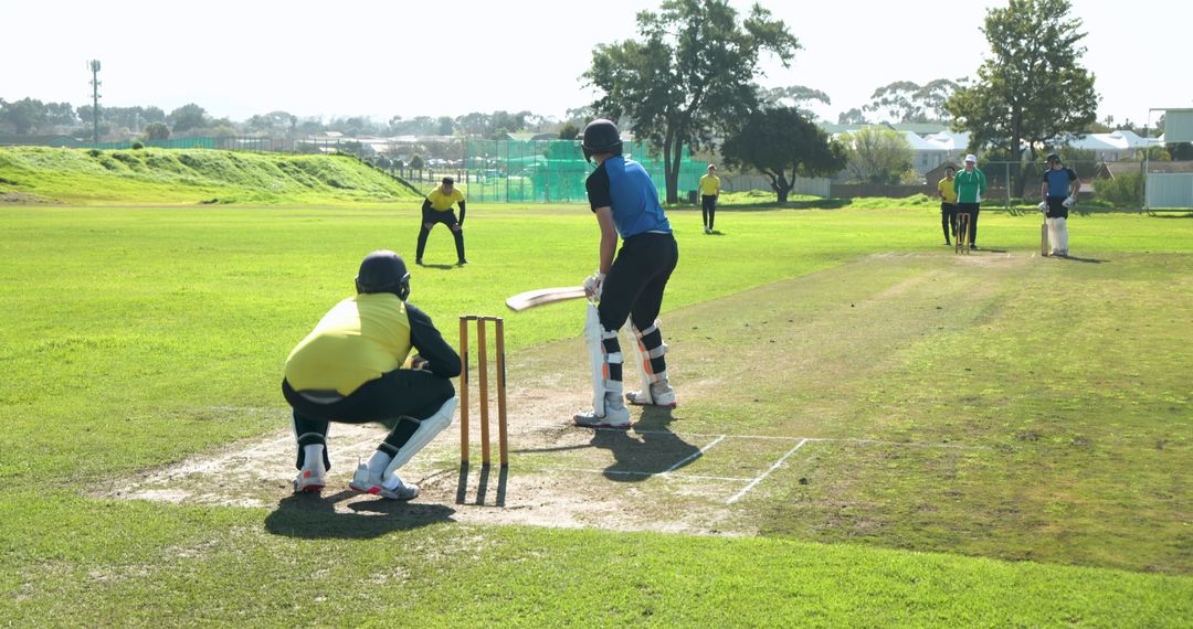 Dynamic Cricket Match Action on Verdant Field