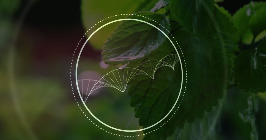 DNA Helix and Basil Leaf with Water Artistic Integration