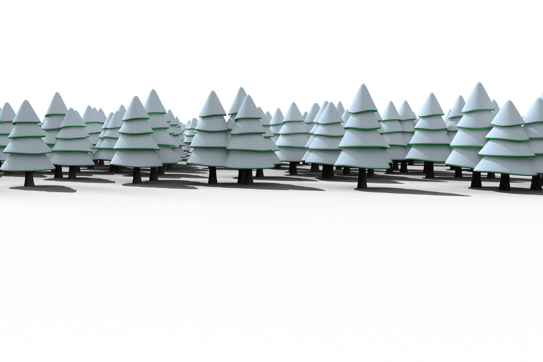 Transparent Forest of Snow-Covered Pine Trees Scene