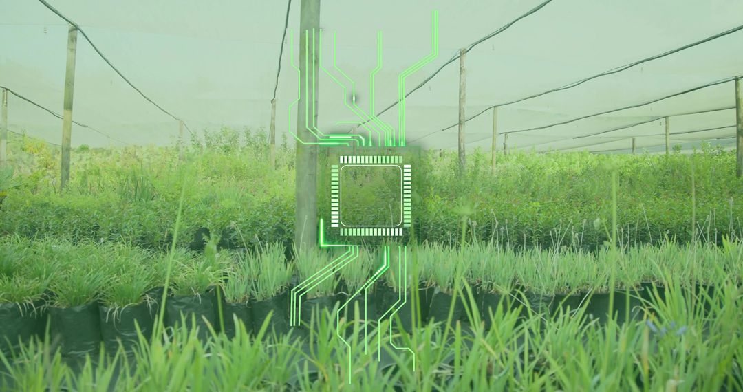 Sustainable agri-tech concept glowing microchip overlay on plant nursery under shade net