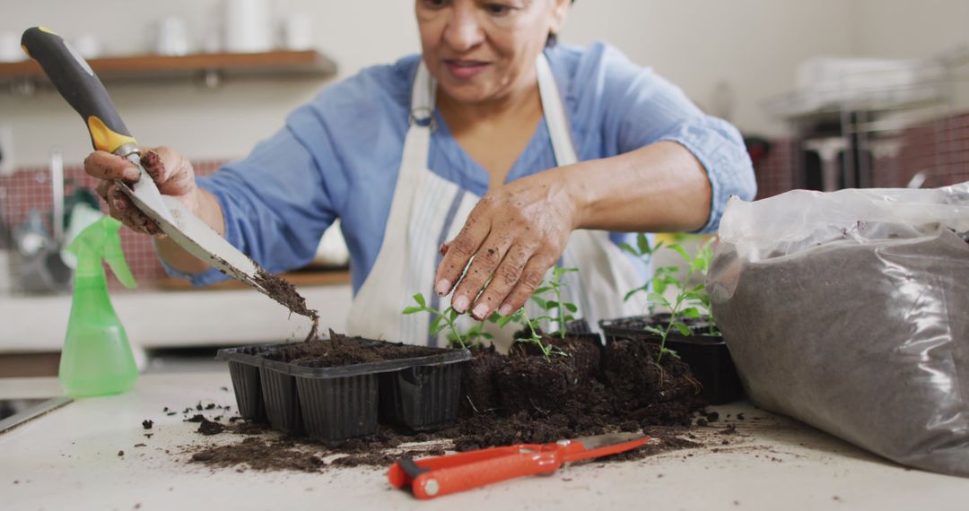 Smiling senior biracial woman wearing apron and gardening in kitchen alone - Free Images, Stock Photos and Pictures on Pikwizard.com