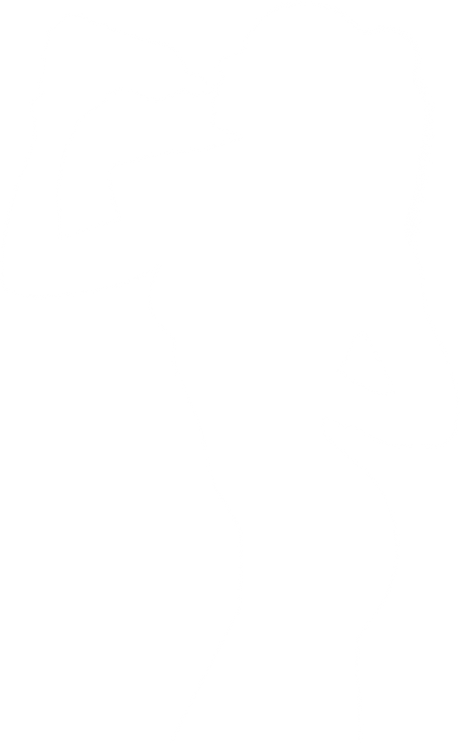 Silhouette of Sportswoman Drinking Water on Transparent Background - Download Free Stock Images Pikwizard.com