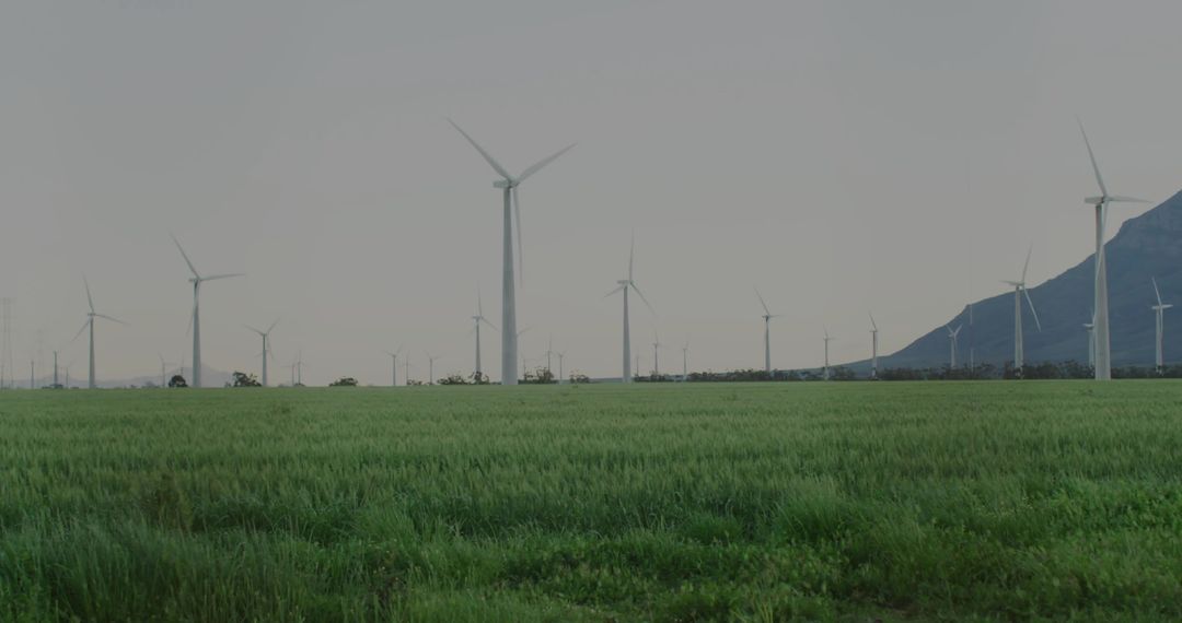 Wind Turbines Rotating over Lush Green Field with Mountain Backdrop