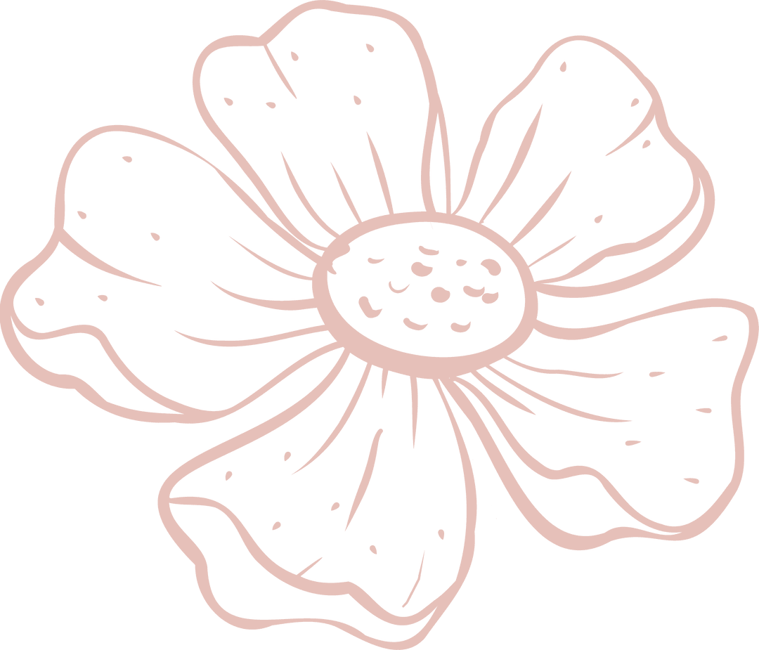 Delicate Doodle Daisy in Pale Pink on Transparent Background