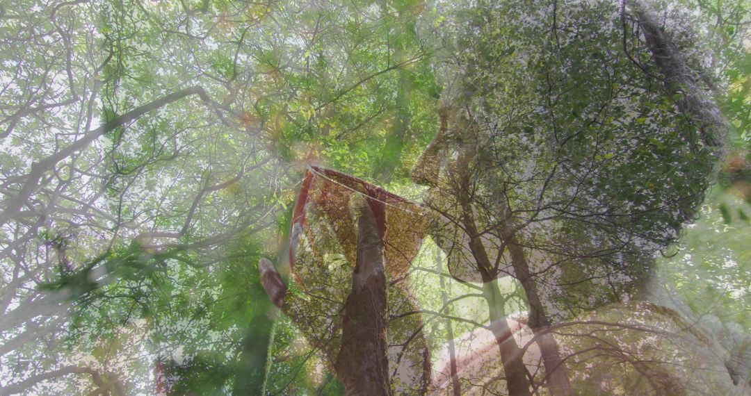 Harmonious Blend of Nature and Serenity with Senior Woman and Forest