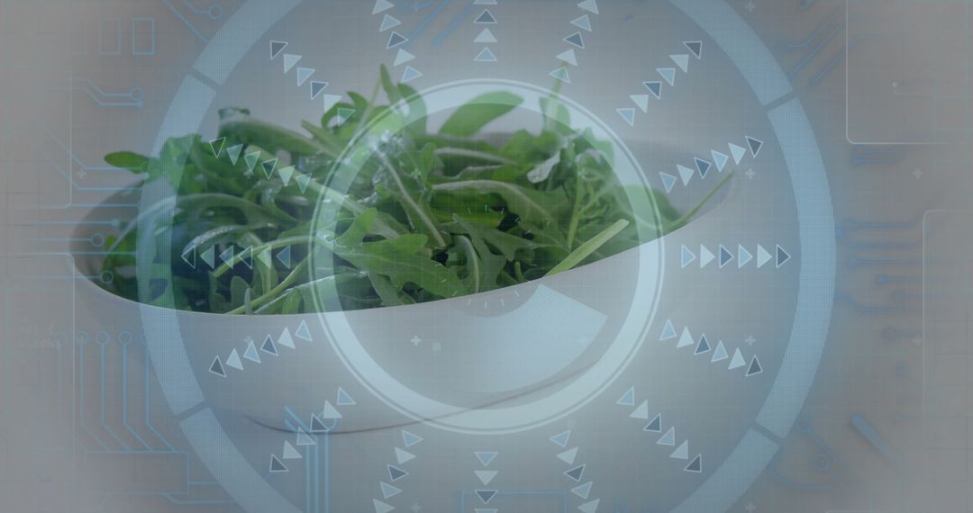 Futuristic Digital Interface with Fresh Arugula Leaves