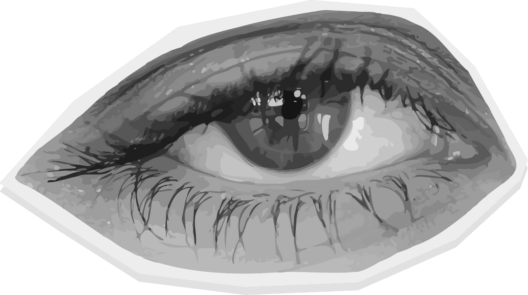 Stylized Monochrome Eye with Detailed Lashes on Transparent Background
