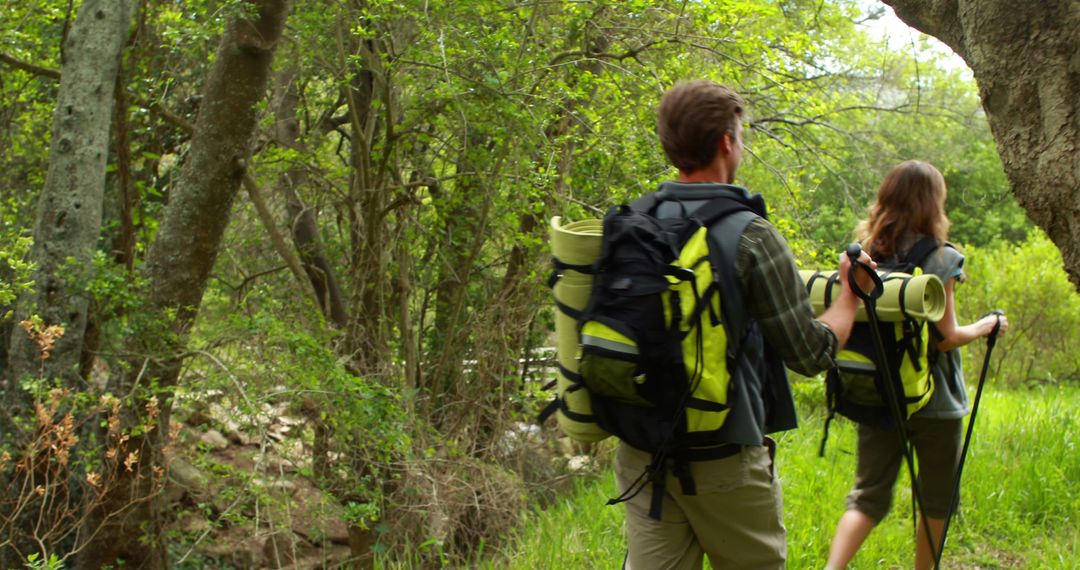 Young Hikers Exploring Lush Forest Trail on Adventure