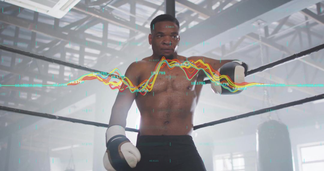 Focused Boxer Relaxing With Data Analysis Overlay