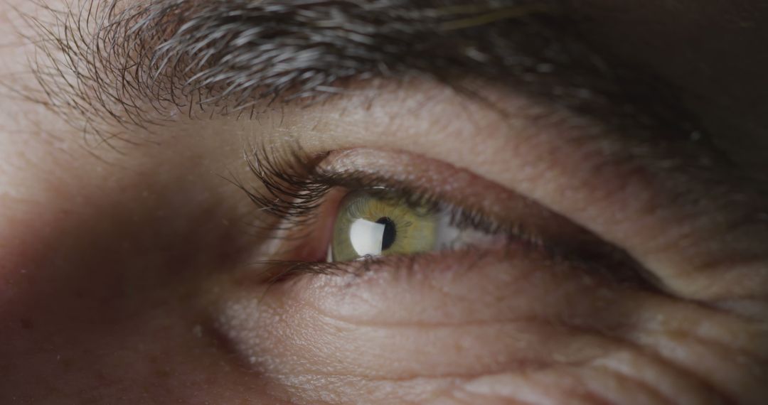 Close-up Shot of Bright Human Eye with Detailed Iris - Free Images, Stock Photos and Pictures on Pikwizard.com