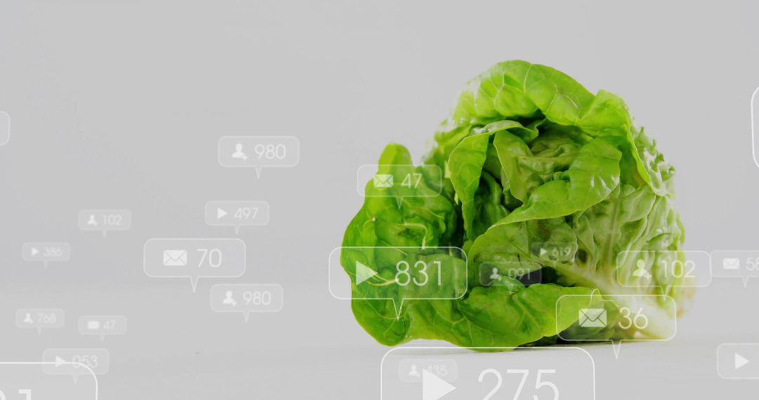 Organic Lettuce with Social Media Interactions Displayed