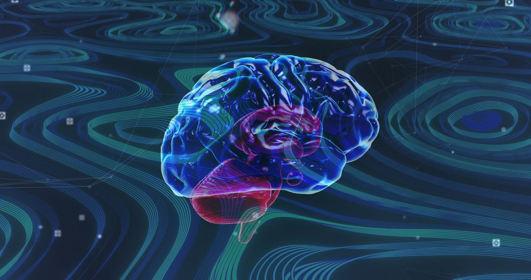 Futuristic Transparent Brain with Dynamic Light Effects