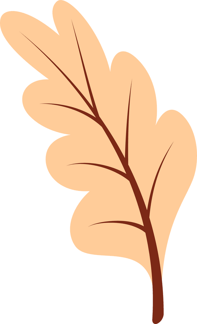 Stylized Peach Oak Leaf on Transparent Background for Design and Decor