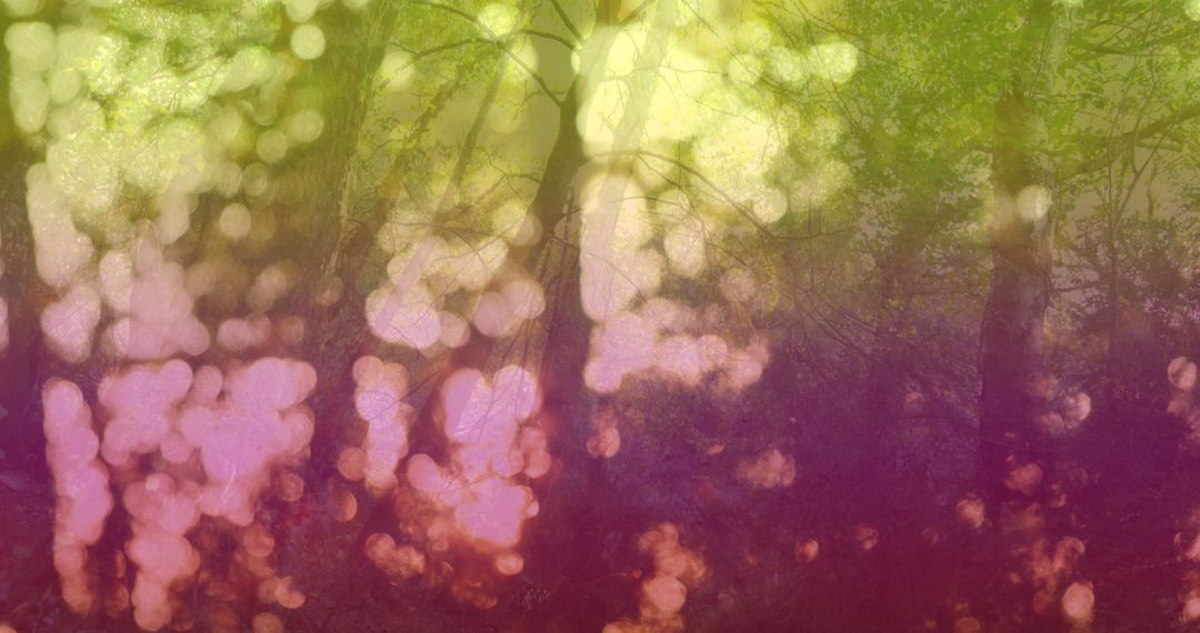 Serene Forest with Colorful Light Bokeh Overlay