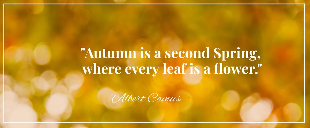 Inspirational Autumn Quote Against Blurred Fall Background - Download Free Stock Templates Pikwizard.com