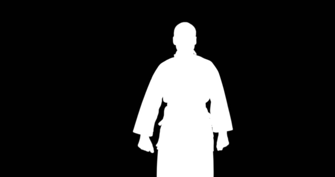 Silhouette of Martial Artist in Karate Uniform - Free Images, Stock Photos and Pictures on Pikwizard.com