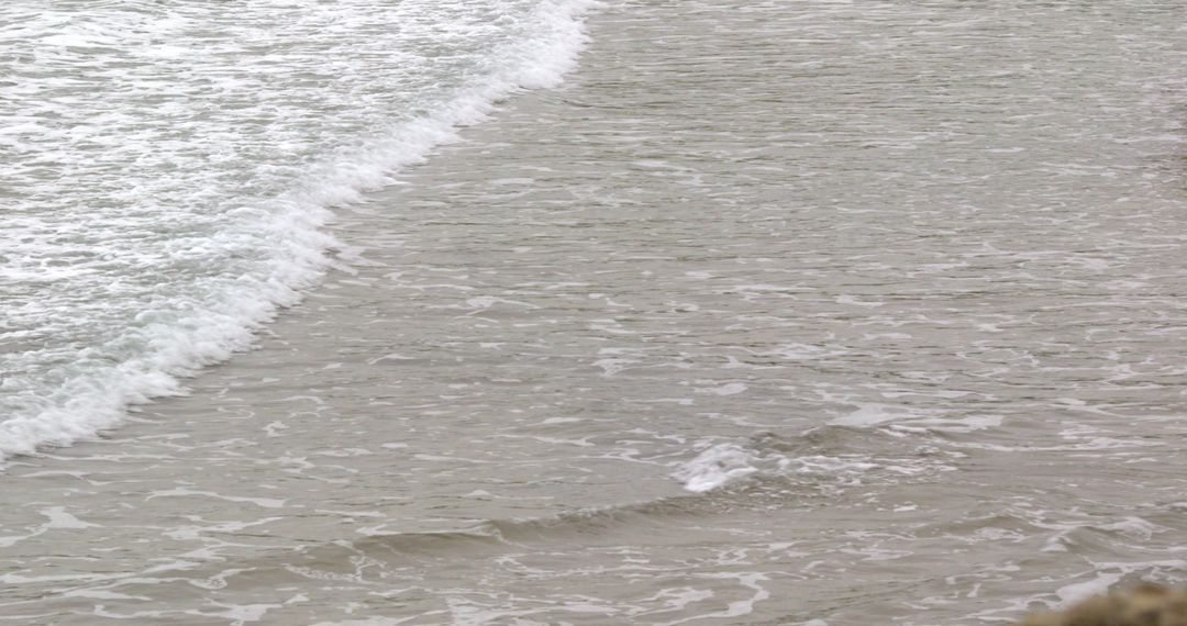 Gentle Waves on Sandy Beach Shoreline - Free Images, Stock Photos and Pictures on Pikwizard.com