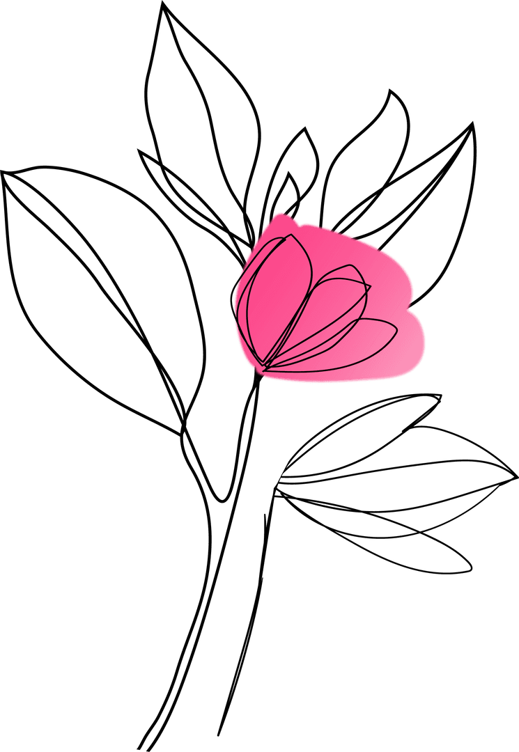 Minimalist Line Art Floral Illustration with Pink Bloom
