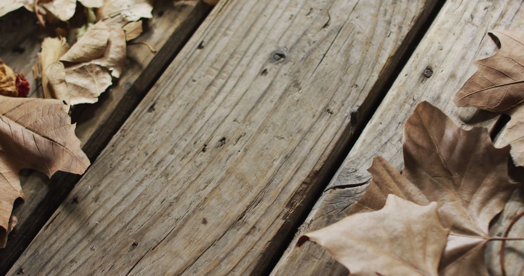 Dry autumn leaves on rustic wooden deck - Free Images, Stock Photos and Pictures on Pikwizard.com