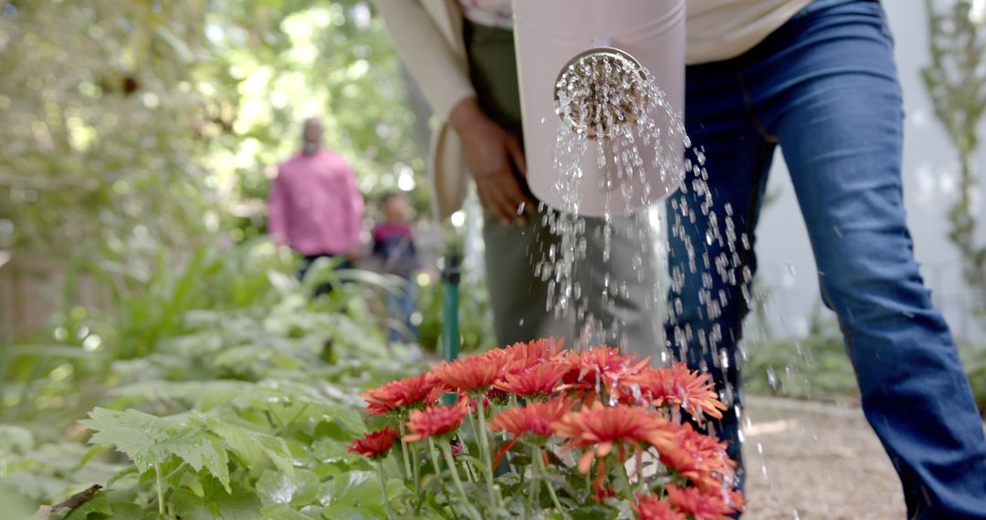 Person Watering Vibrant Garden Flowers on a Sunny Day - Free Images, Stock Photos and Pictures on Pikwizard.com