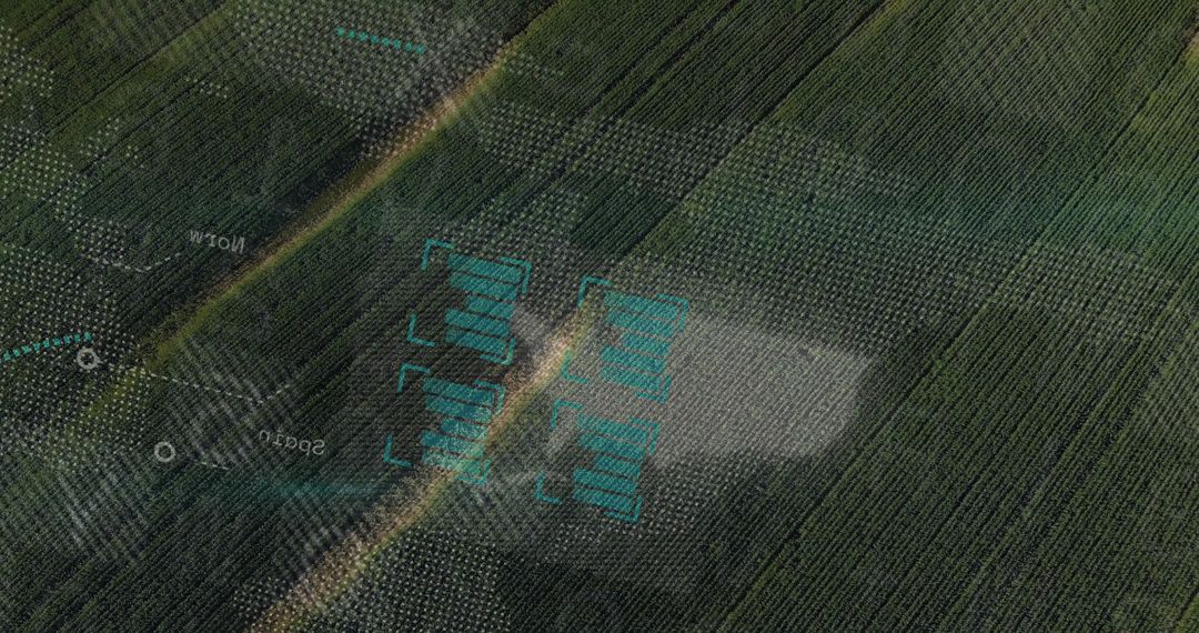 Aerial View of Orchard Rows with Drone Telemetry Overlay