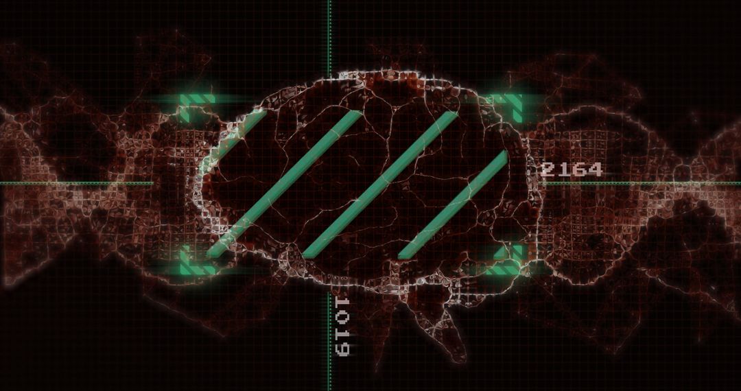 Digital Representation of DNA Linking to Brain Functions