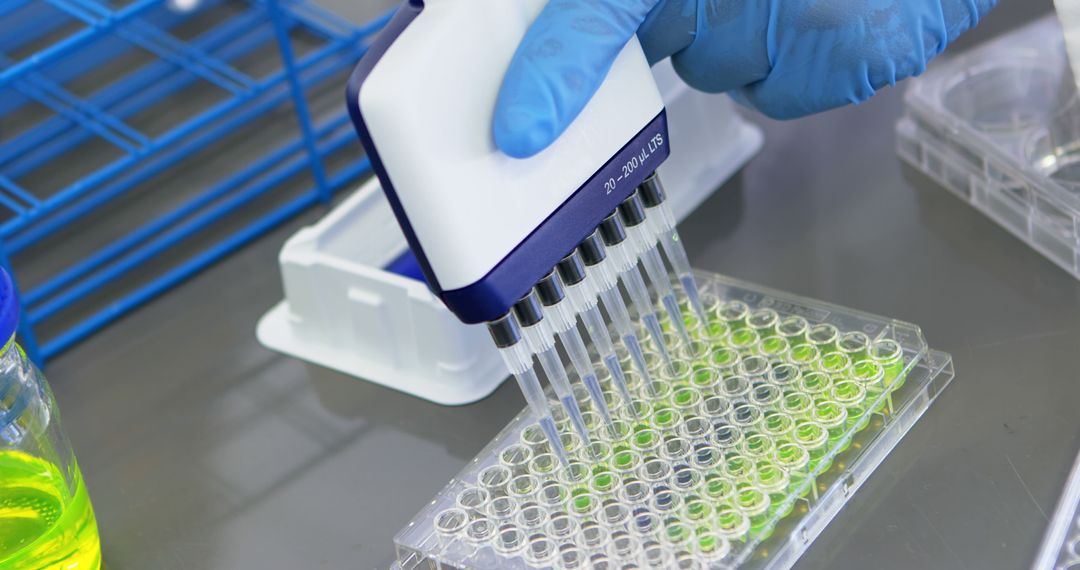 Scientist Conducting Research with Multichannel Pipette in Laboratory - Free Images, Stock Photos and Pictures on Pikwizard.com