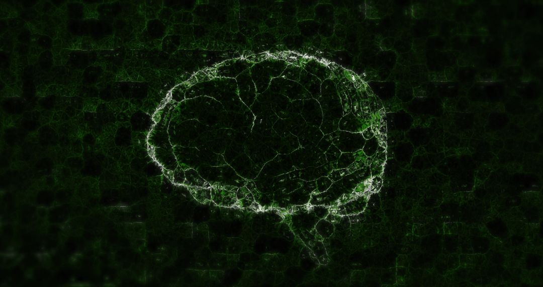 Abstract Brain Art with Digital Design